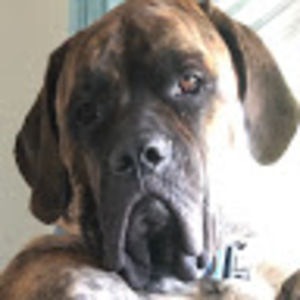 Meet your Posher, Faith